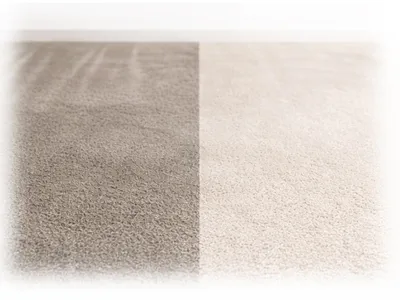 Carpet cleaning service