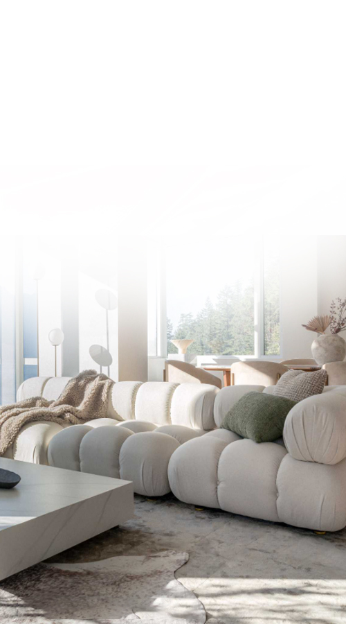 Upholstery Cleaning Orlando, FL in Orlando